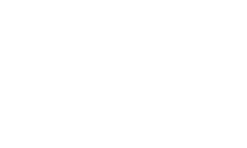 Danış Group